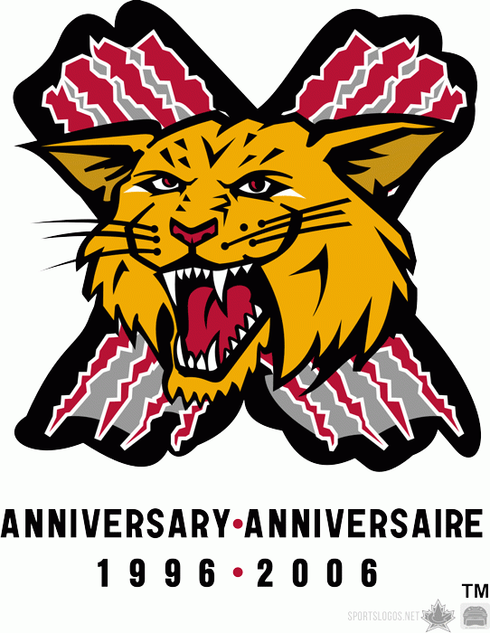 moncton wildcats 2007 anniversary logo iron on transfers for clothing